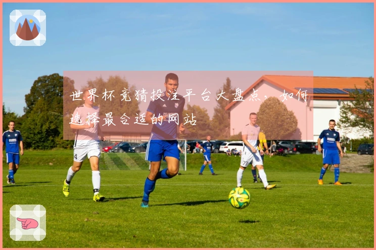 世界杯竞猜投注平台大盘点，如何选择最合适的网站
