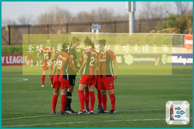 全球主要平台世界杯买球竞猜全面对比分析