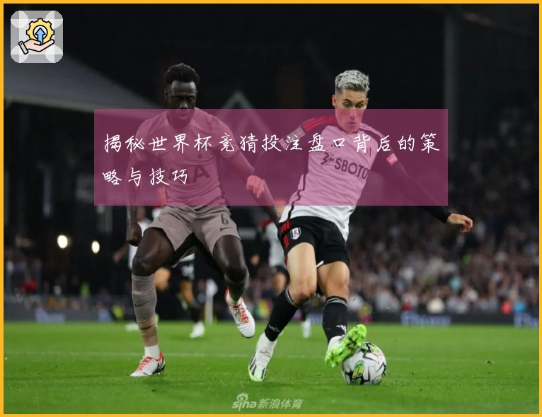 揭秘世界杯竞猜投注盘口背后的策略与技巧