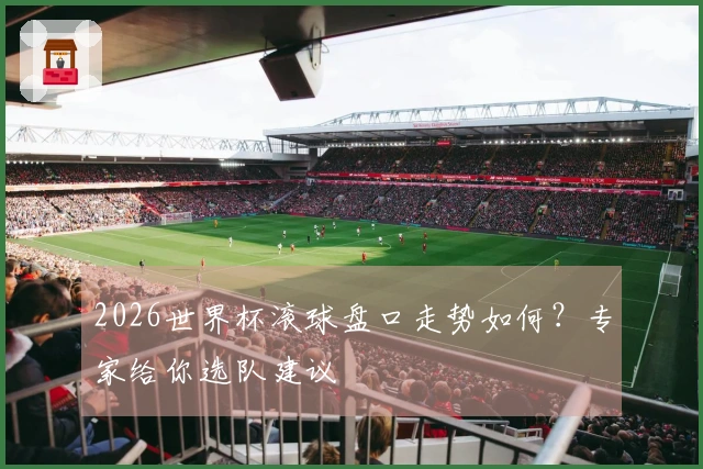 2026世界杯滚球盘口走势如何？专家给你选队建议