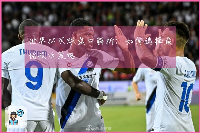 世界杯买球盘口解析：如何选择最优投注策略