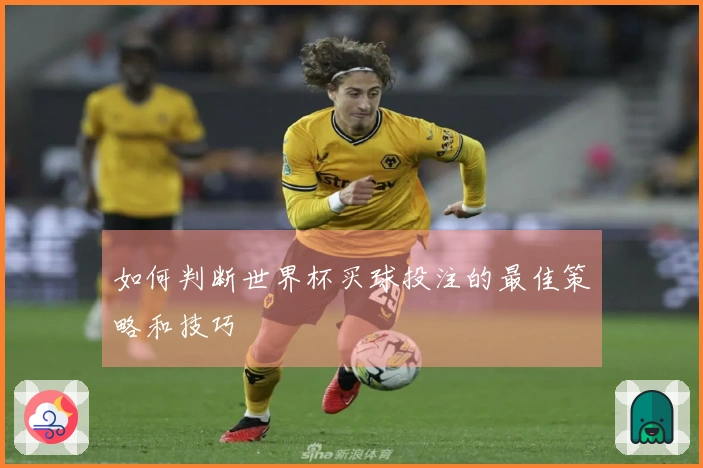 如何判断世界杯买球投注的最佳策略和技巧