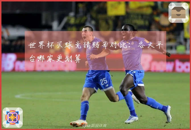 世界杯买球竞猜赔率对比：各大平台哪家更划算