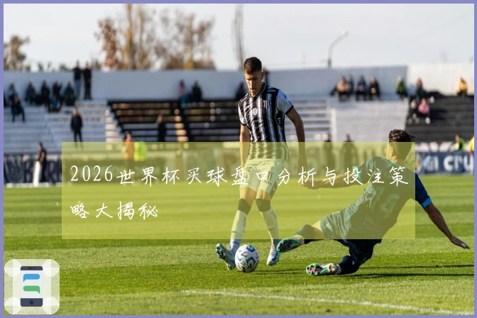 2026世界杯买球盘口分析与投注策略大揭秘
