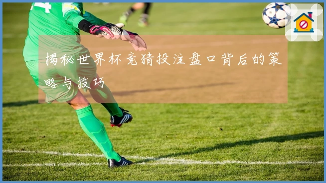 揭秘世界杯竞猜投注盘口背后的策略与技巧