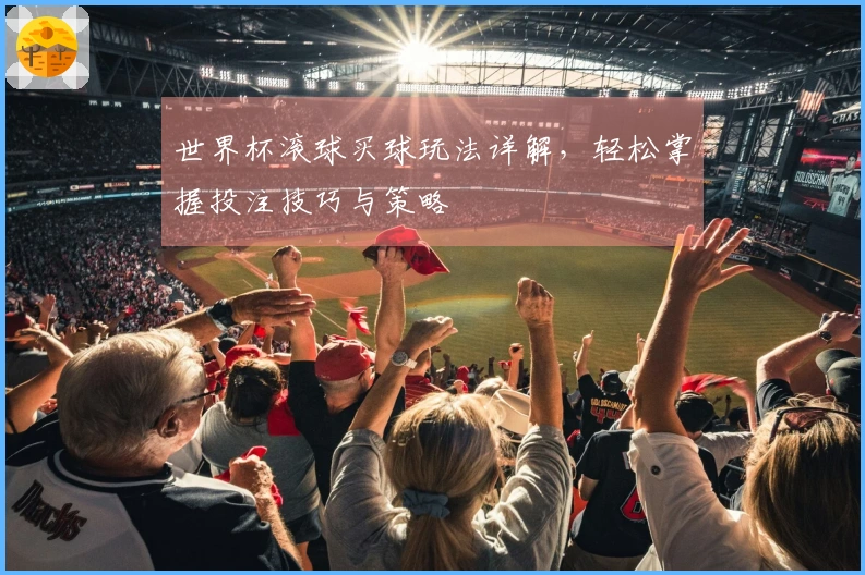 世界杯滚球买球玩法详解，轻松掌握投注技巧与策略