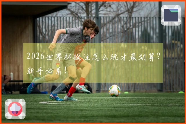 2026世界杯投注怎么玩才最划算？新手必看！