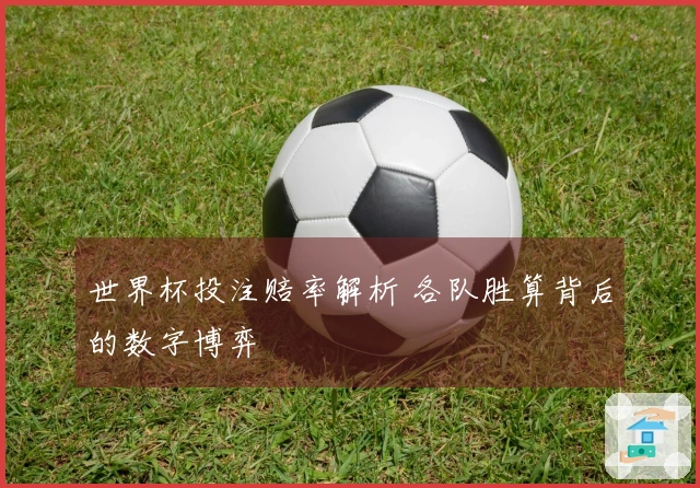 世界杯投注赔率解析 各队胜算背后的数字博弈