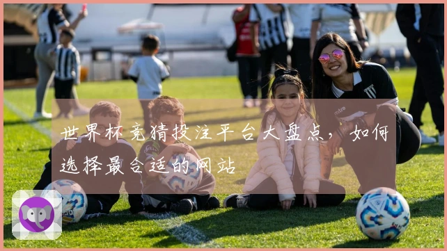 世界杯竞猜投注平台大盘点，如何选择最合适的网站