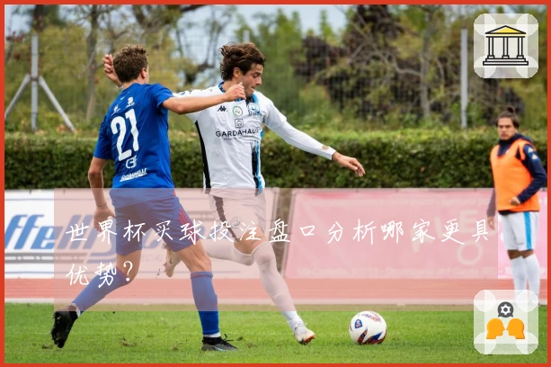 世界杯买球投注盘口分析哪家更具优势？