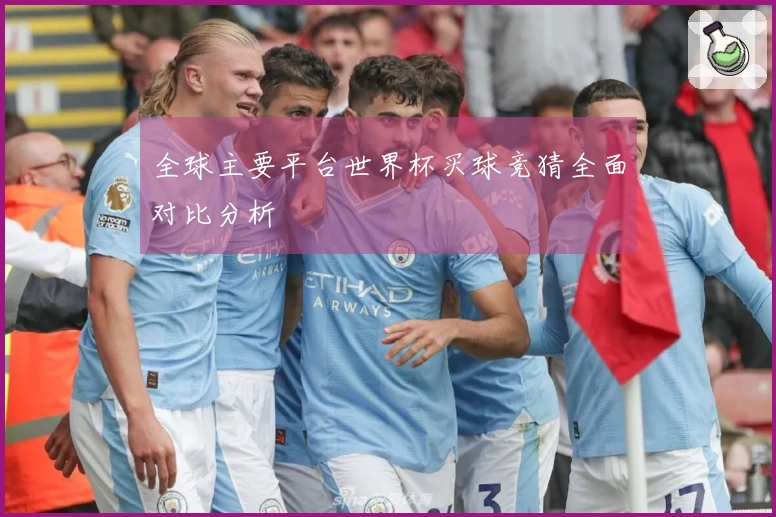 全球主要平台世界杯买球竞猜全面对比分析