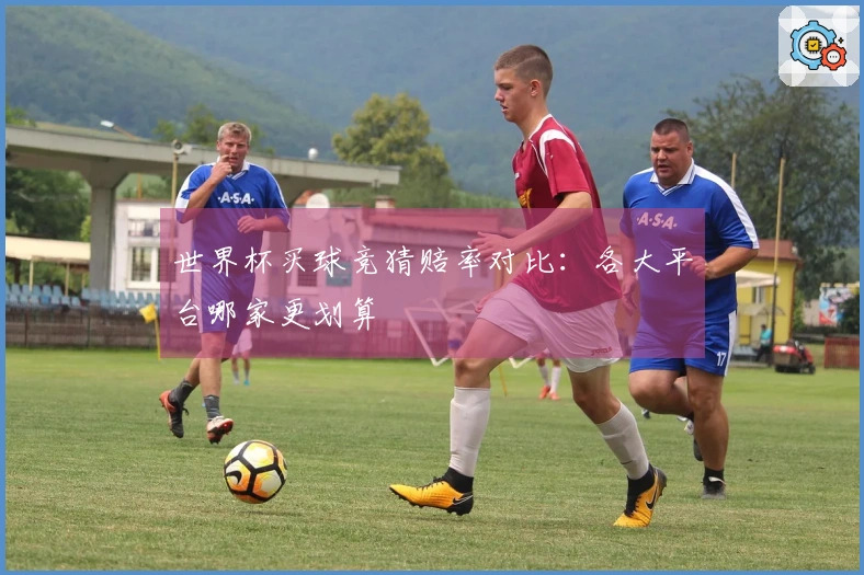 世界杯买球竞猜赔率对比：各大平台哪家更划算