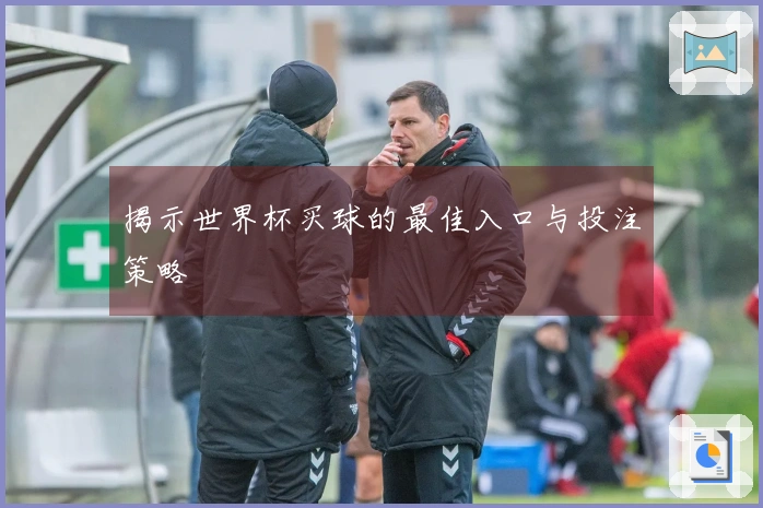 揭示世界杯买球的最佳入口与投注策略