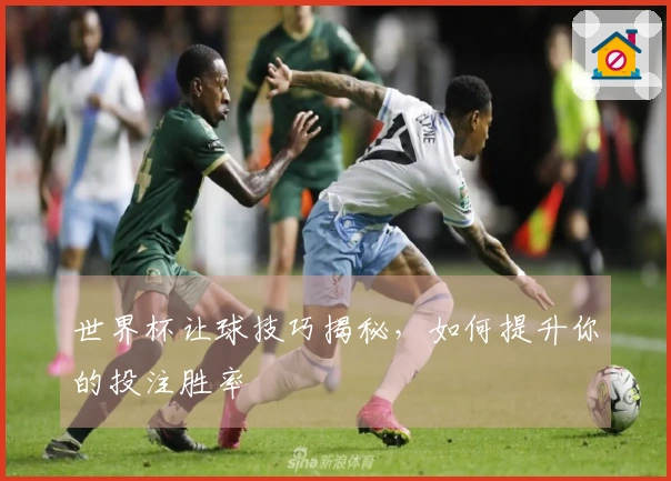 世界杯让球技巧揭秘，如何提升你的投注胜率