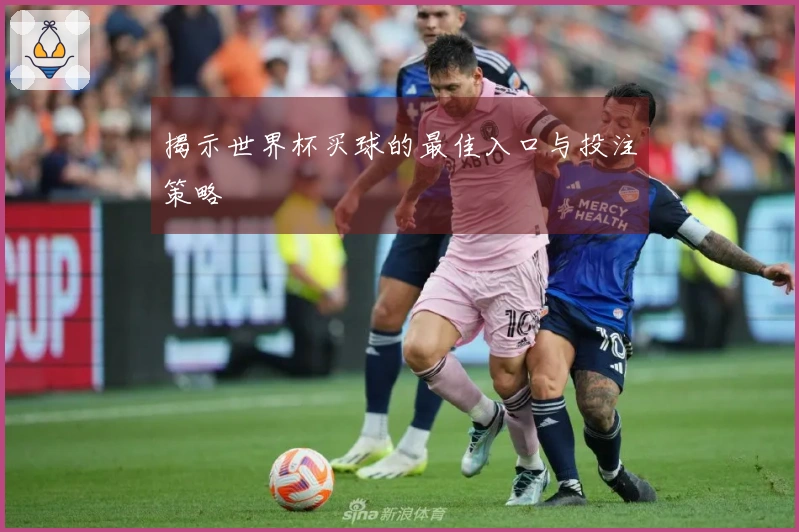 揭示世界杯买球的最佳入口与投注策略
