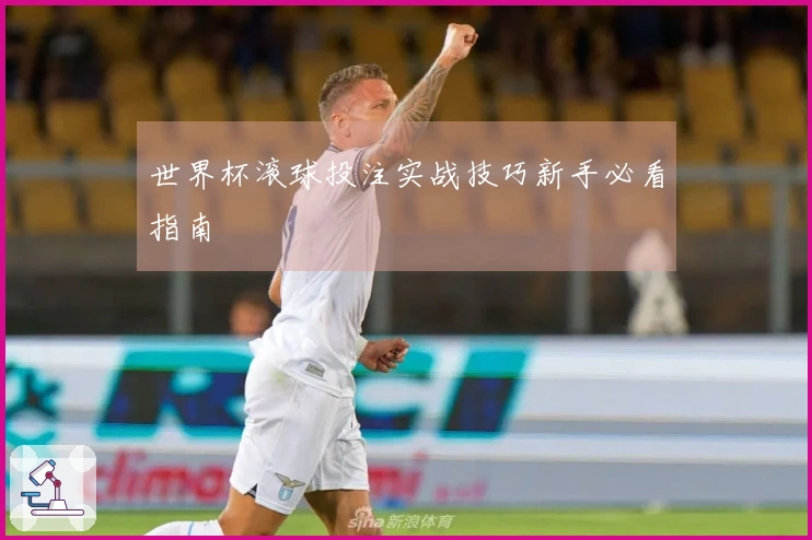 世界杯滚球投注实战技巧新手必看指南
