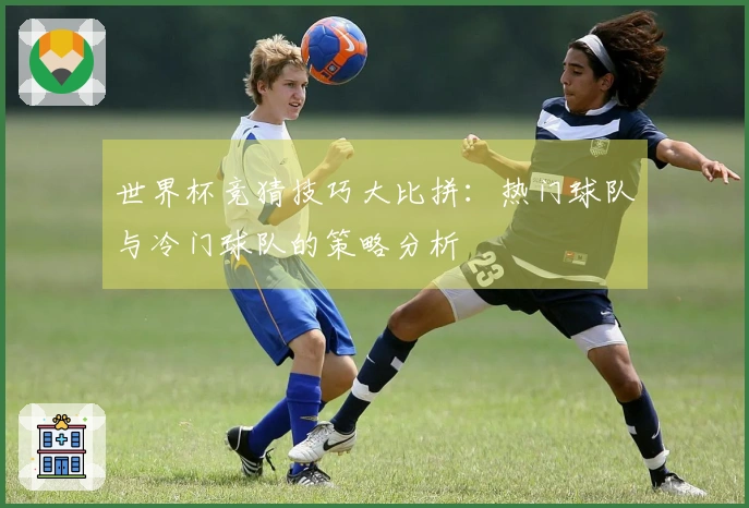 世界杯竞猜技巧大比拼：热门球队与冷门球队的策略分析